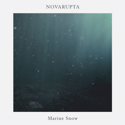 Novarupta : Marine Snow